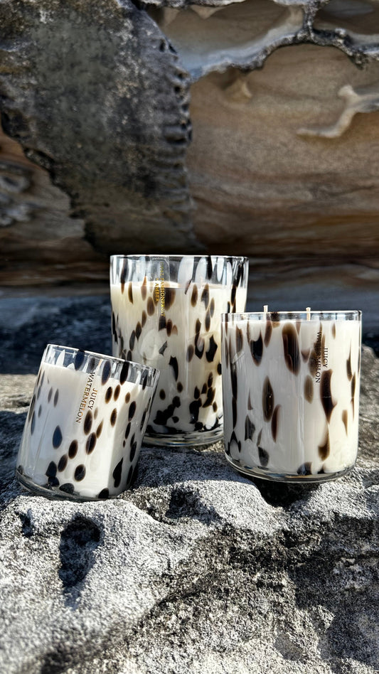 Medium Luxe Dalmatian