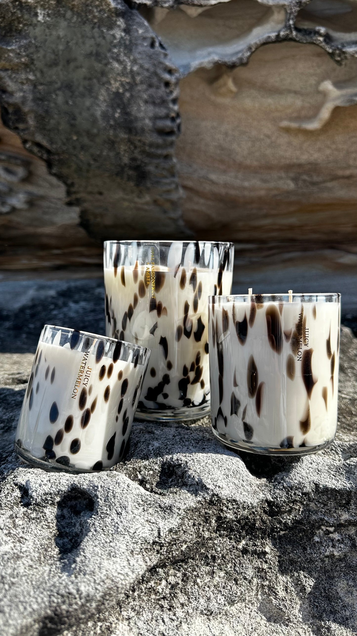 Extra Large Luxe Dalmatian